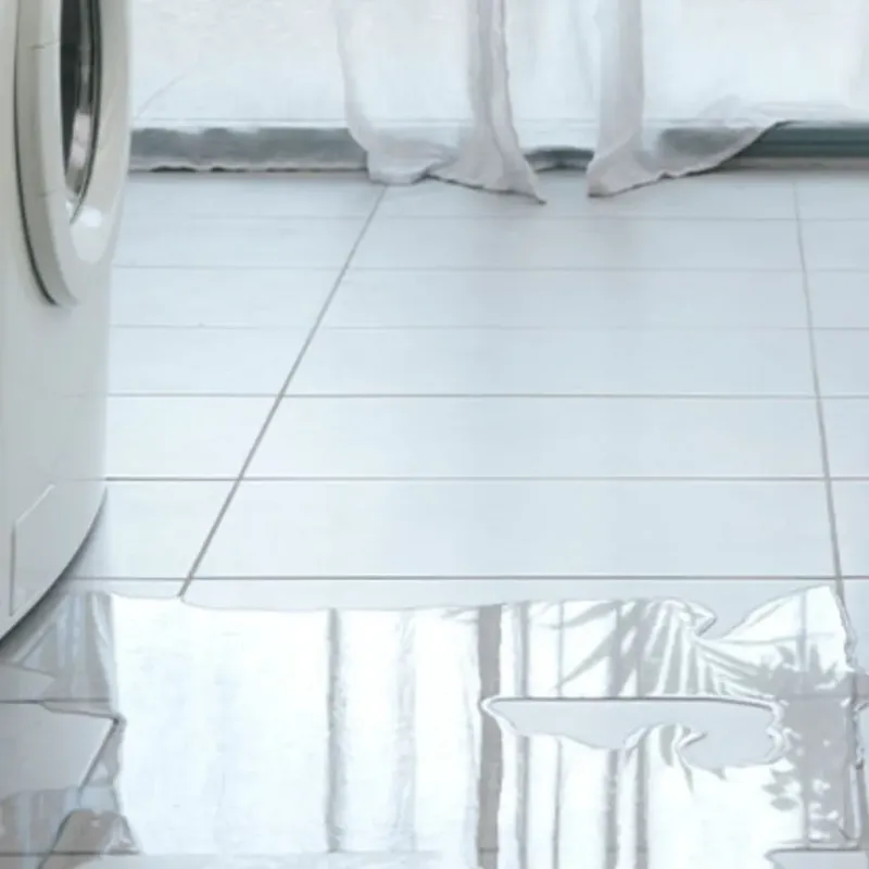 Appliance Leak Cleanup in Forsyth, IL