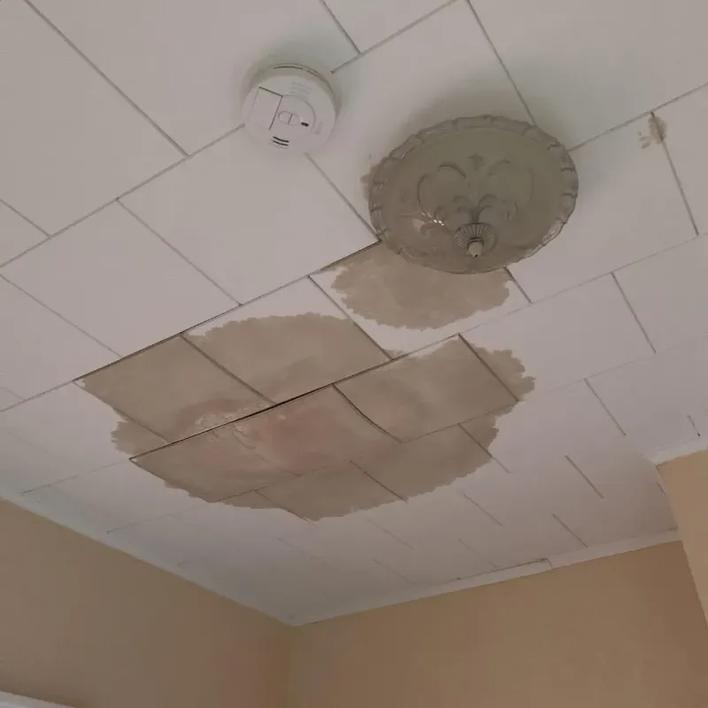 Ceiling Water Damage Repair in Forsyth, IL
