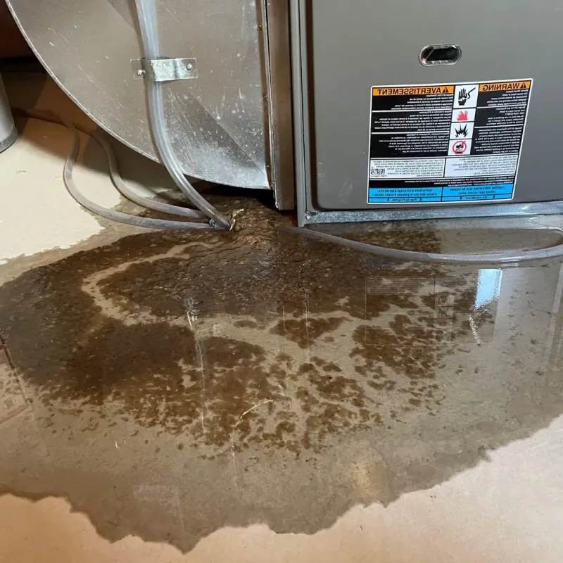 Pipe Burst and Leak Restoration in Forsyth, IL